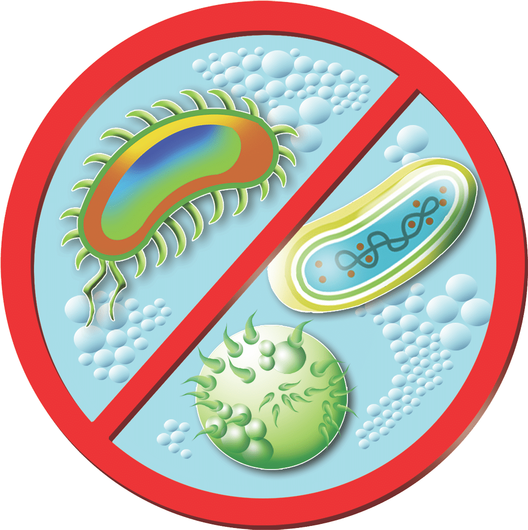 Area Rug Cleaning College Station Clipart Full Size Clipart (2321643