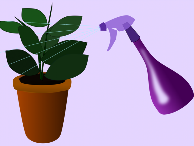 Flowerpots Clipart Purple - Png Download (640x480), Png Download
