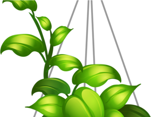 Flowerpots Clipart Flower Bed - Png Download (640x480), Png Download