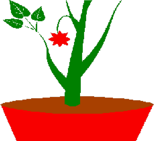 Pot Plant Clipart Planting - Png Download (640x480), Png Download