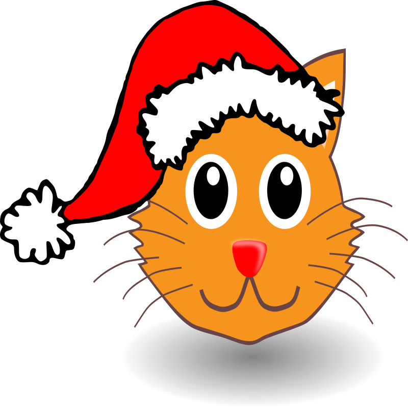 Cat Cartoon Face Clipart (800x800), Png Download