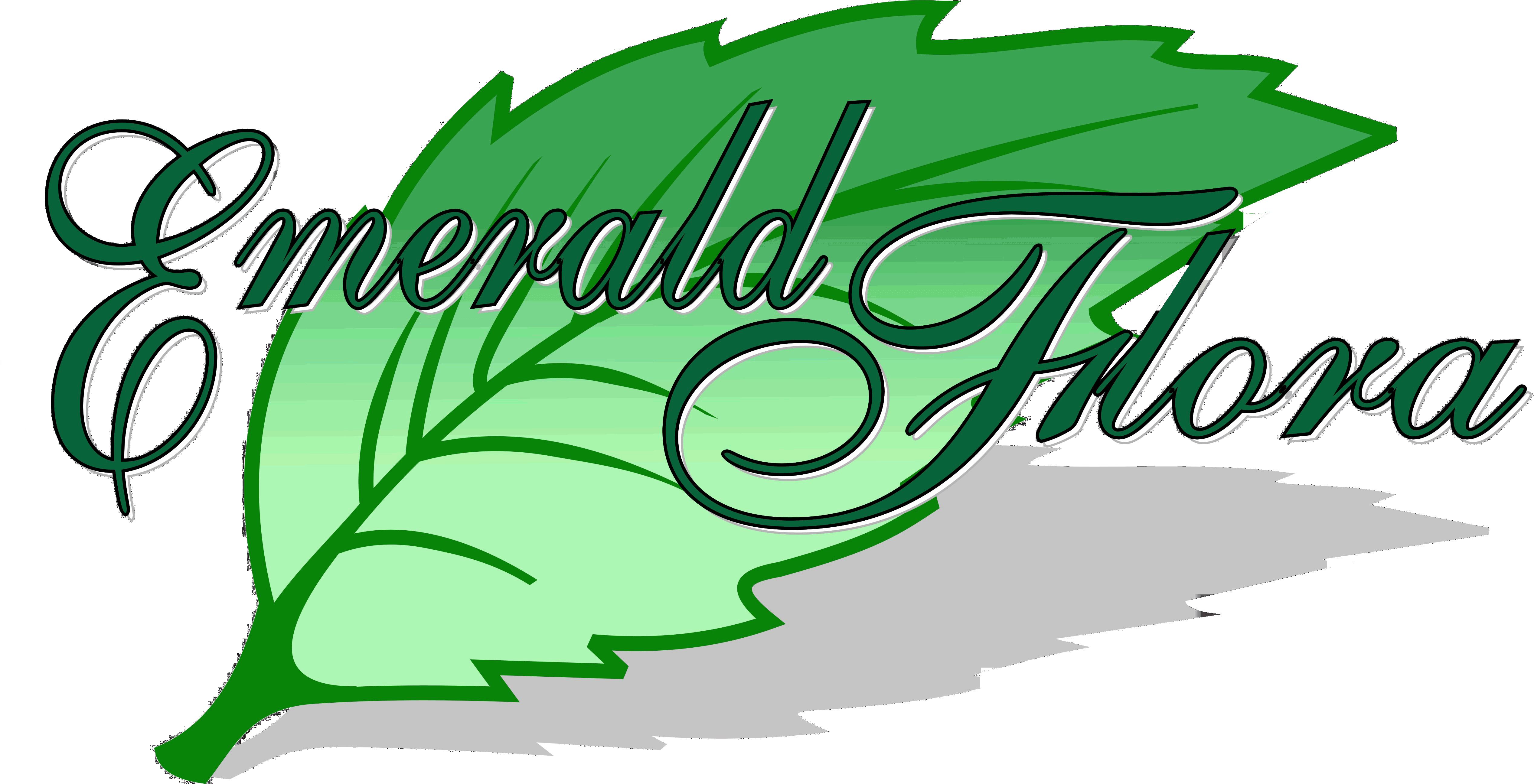 Succulent Collection Clipart (5072x2593), Png Download