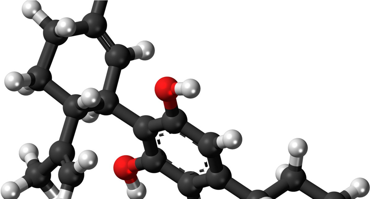 Mass Production Of 'minor' Cannabinoids Via Yeast Clipart (1280x640), Png Download
