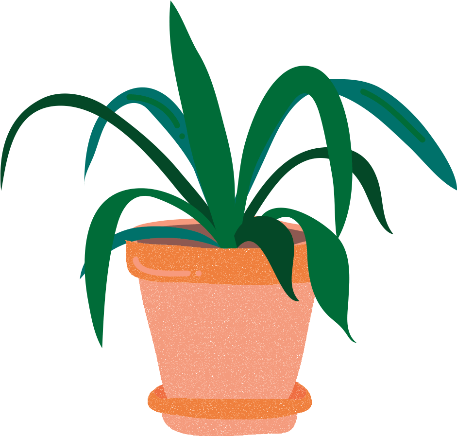 Plants Clipart Plant Life - Png Download (1000x1000), Png Download