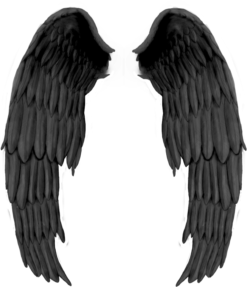 Clip Art Todos Créditos A Photoscape Brushes With Transparent - Png Download (837x962), Png Download