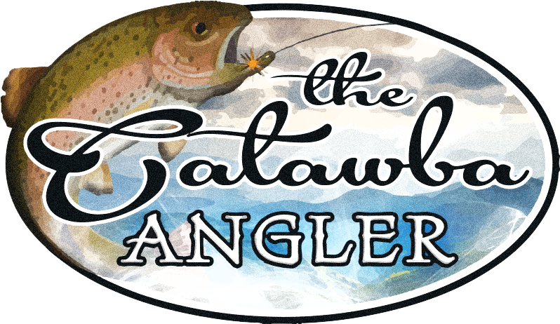 Pictured Above Clipart (888x536), Png Download