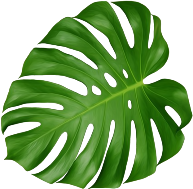 花瓣，陪你做生活的设计师 Clipart (658x636), Png Download