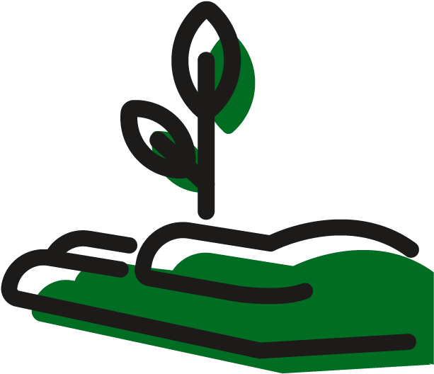 Plant Icon Clipart (864x864), Png Download