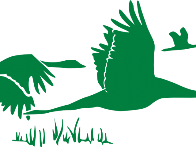 Wildlife Clipart Bird Flock - Png Download (640x480), Png Download