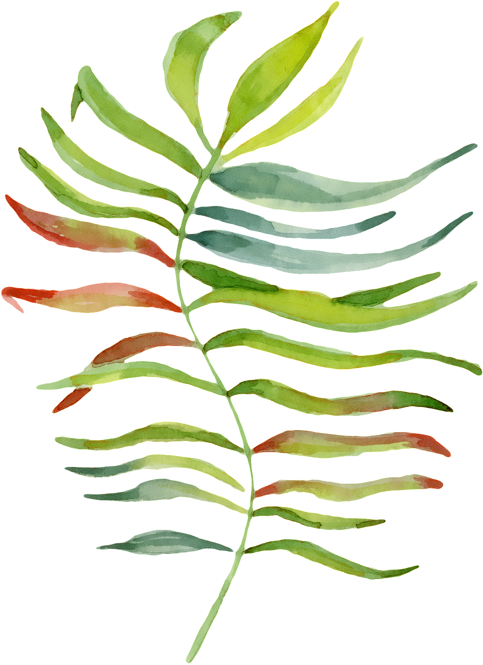 Hand Painted Leaves With Individuality Png Transparent Clipart (1024x1390), Png Download