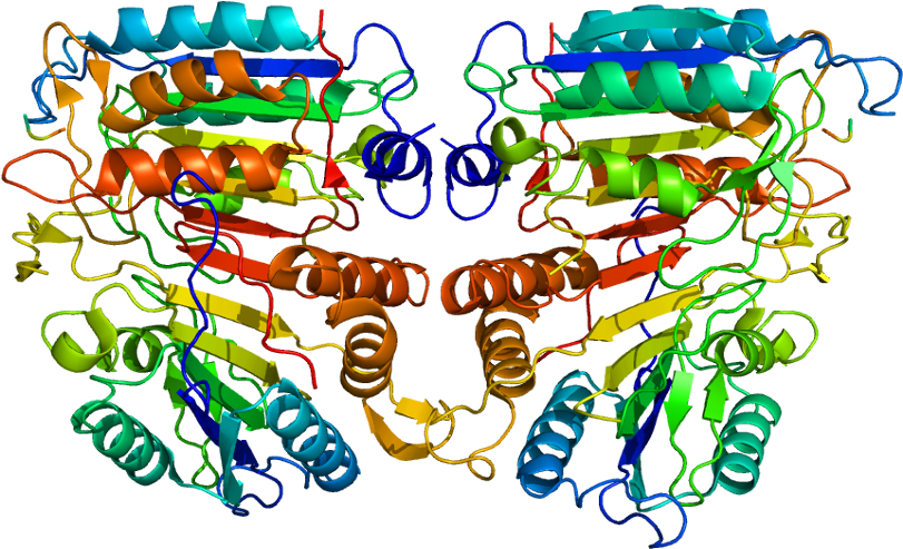 Lymphoma Ribbon Clip Art - Png Download (860x542), Png Download