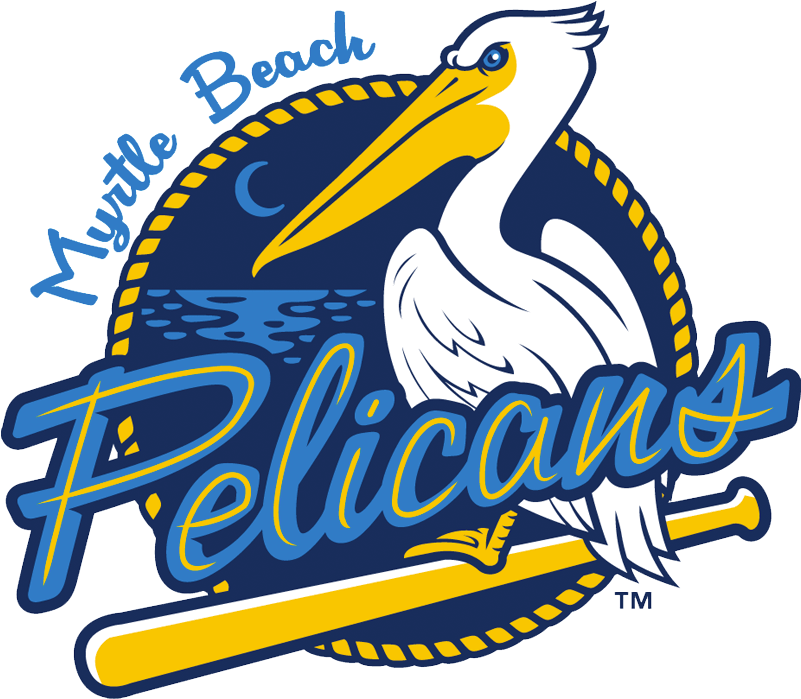 Myrtle Beach Pelicans Clipart (800x800), Png Download