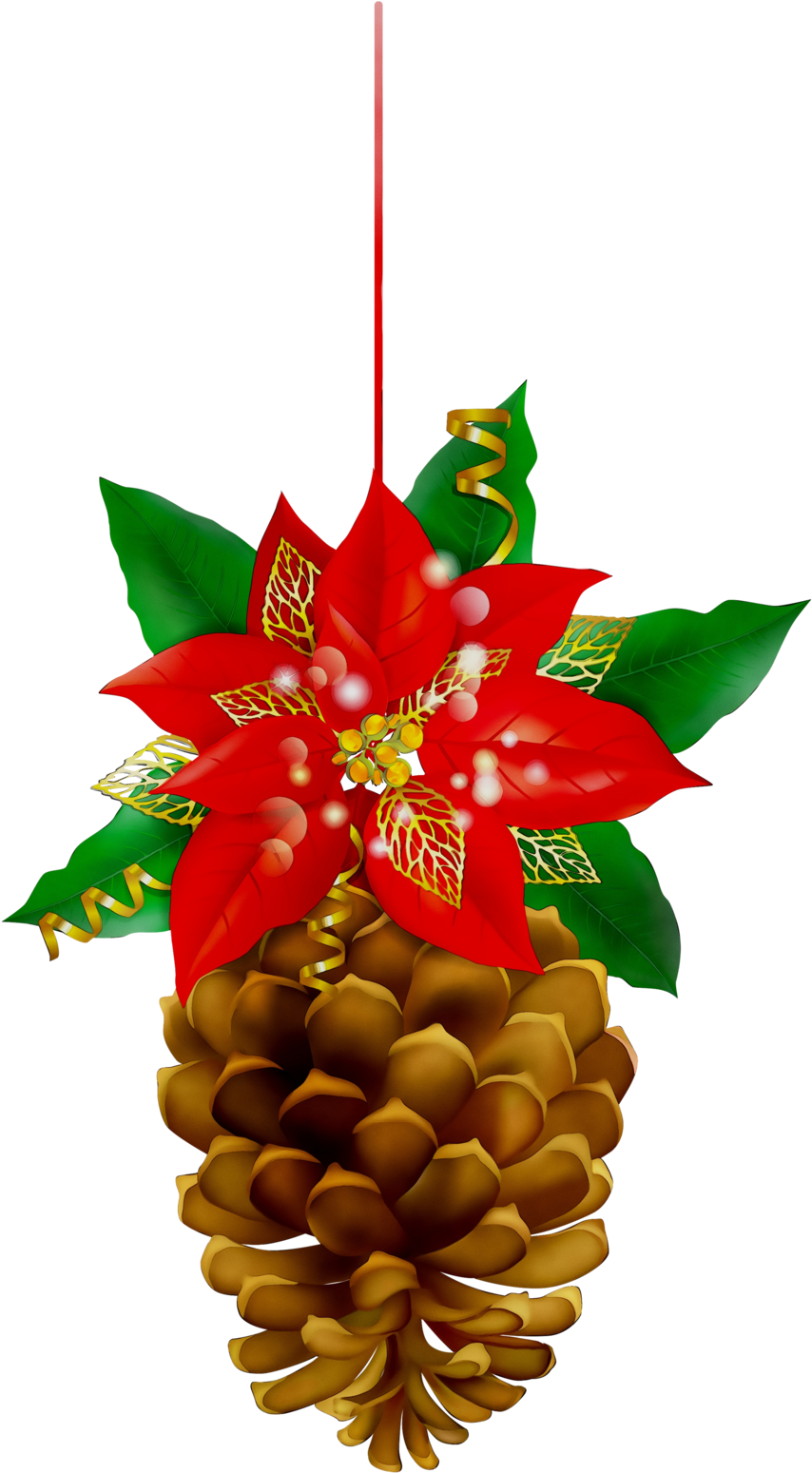Christmas Pinecone Clipart Christmas Day Poinsettia - Png Download (900x1577), Png Download