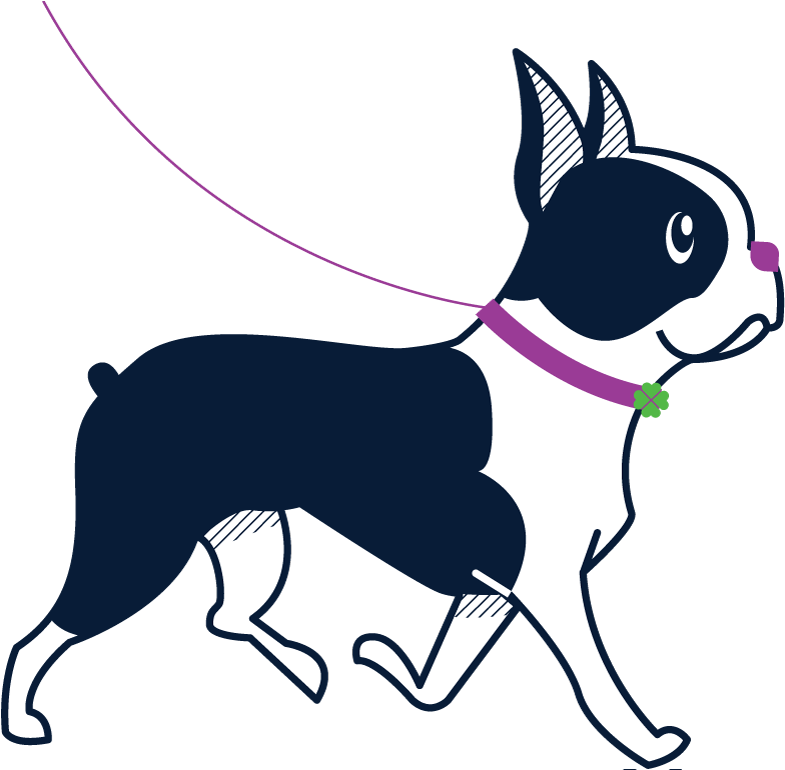 Clover Bostonterrier Clipart (800x769), Png Download