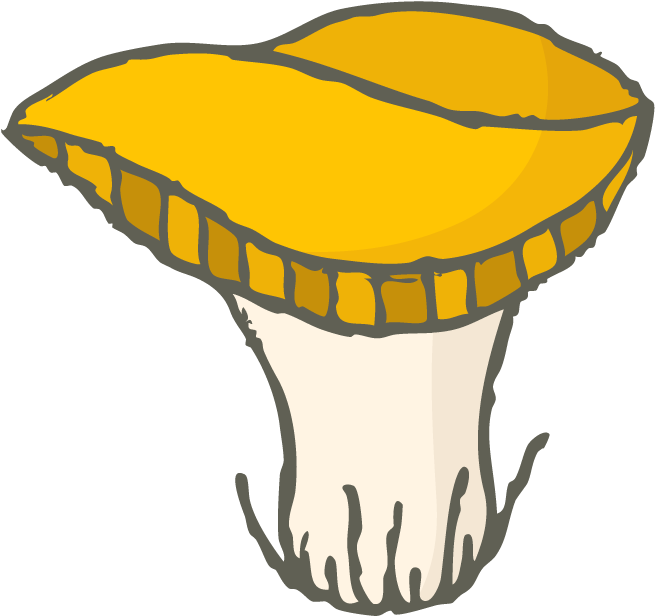 Drawstring Bag Clip Art - Png Download (777x773), Png Download