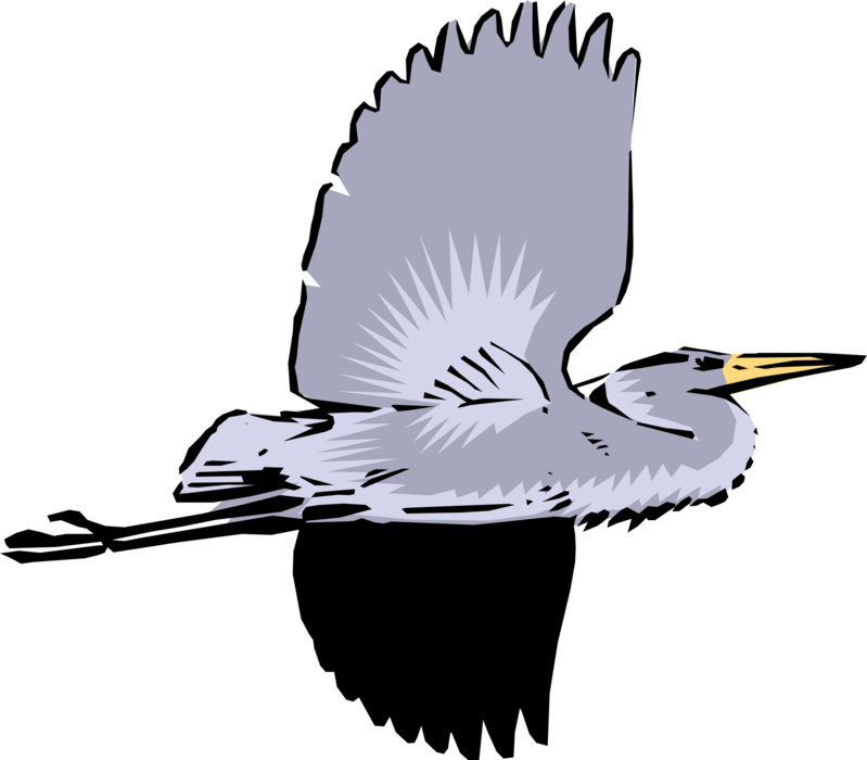 Great Blue Heron Crane Clipart (799x700), Png Download