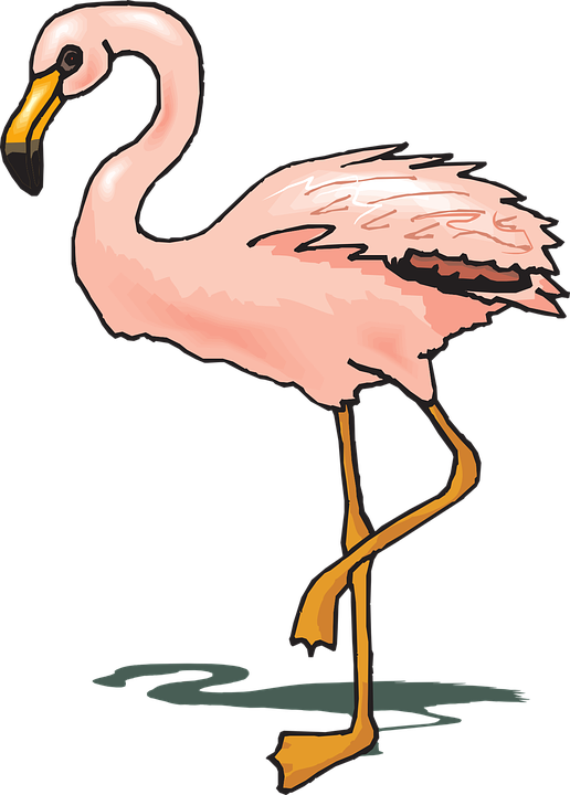 Flamingo Clipart Wings - Png Download (516x720), Png Download