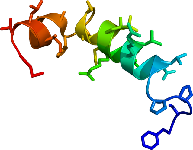 Neural Pathways To Sleep Clipart (639x497), Png Download