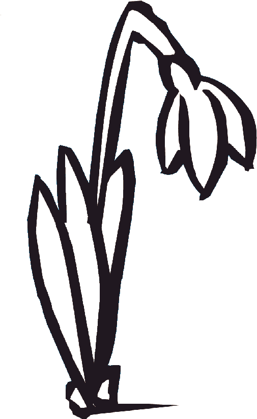 Marias Geschenk- Und Deco Ideen Clipart (519x843), Png Download