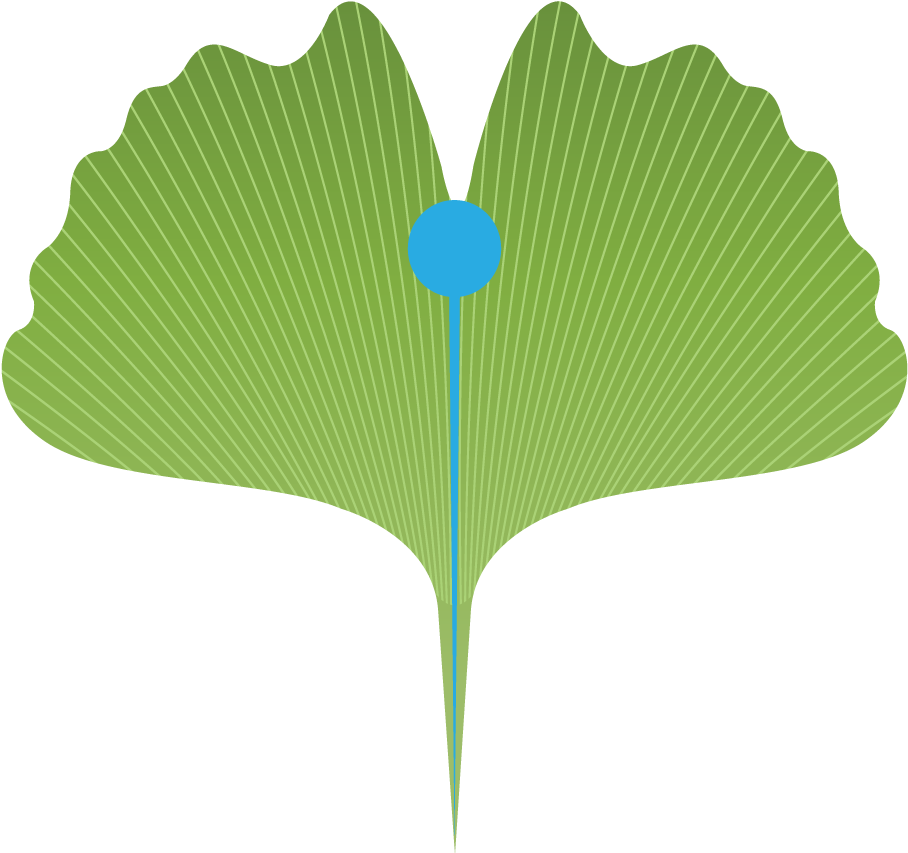 Acupuncture & Chinese Herbal Medicine Clipart (1280x900), Png Download