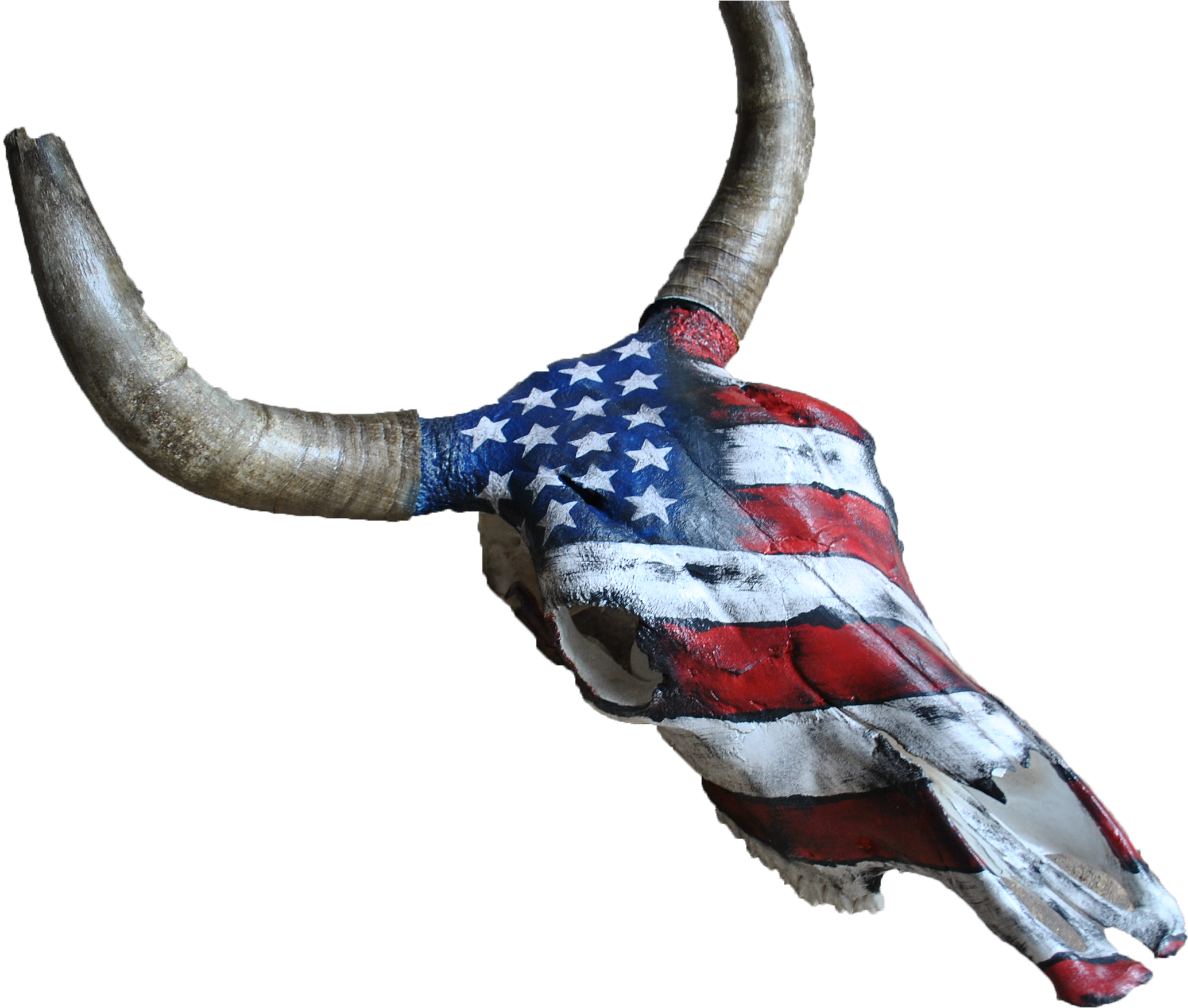 Home Kata Black Angus Bull Skull Of The Us Flag Clipart (2376x1838), Png Download