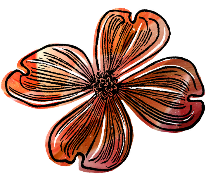 Dragonfly With 2016 Date Stamp Clipart (705x595), Png Download