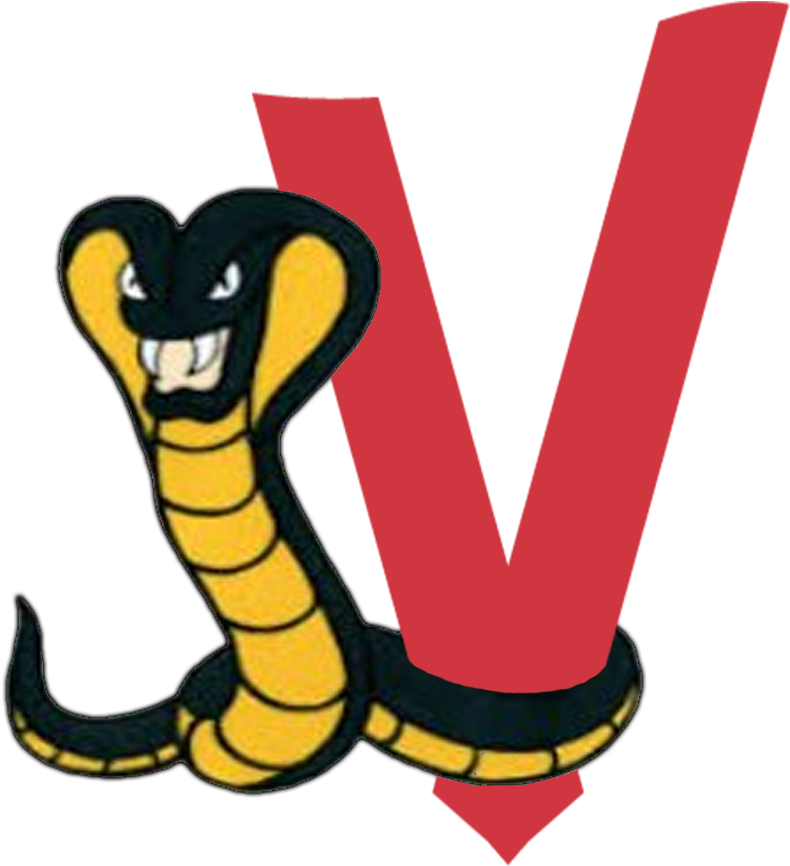 2018 Ct Cobras And Vale Basketball Summer Clinic Clipart (1000x1000), Png Download