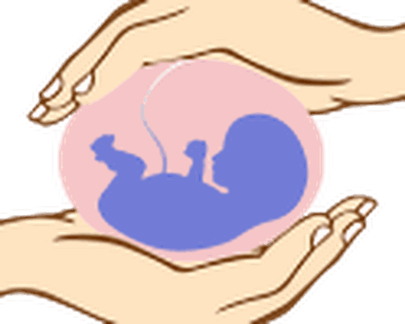 101 Pregnancy Safety Tips Free Android Clipart (800x640), Png Download