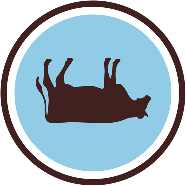 Singlespeed Brewing Co Clipart (600x600), Png Download