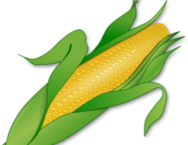 Corn Clipart Bit - Png Download (640x480), Png Download