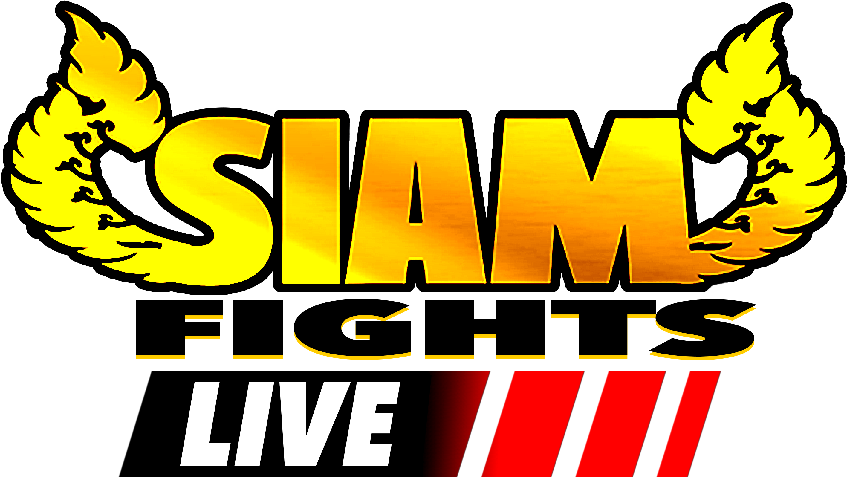 The Company Plans To Market Its Pro Bouts Under Its Clipart (3571x2197), Png Download