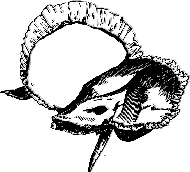 Medium Image Clipart (800x724), Png Download