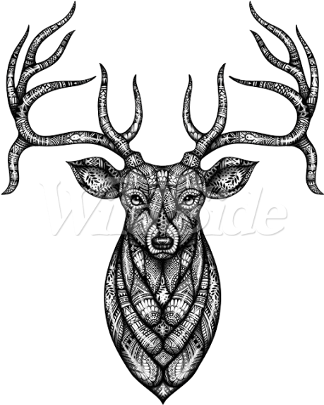 Deer Head With Bandana Clipart (600x600), Png Download