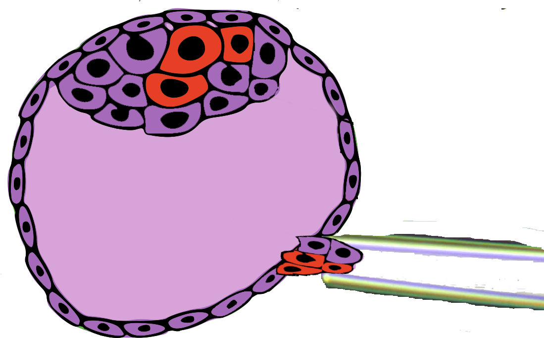 Print Clipart (1200x681), Png Download