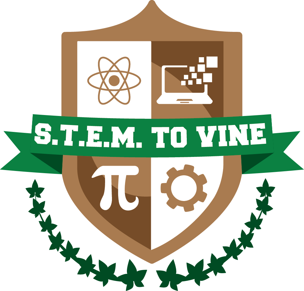S - T - E - M - To Vine Clipart (975x931), Png Download