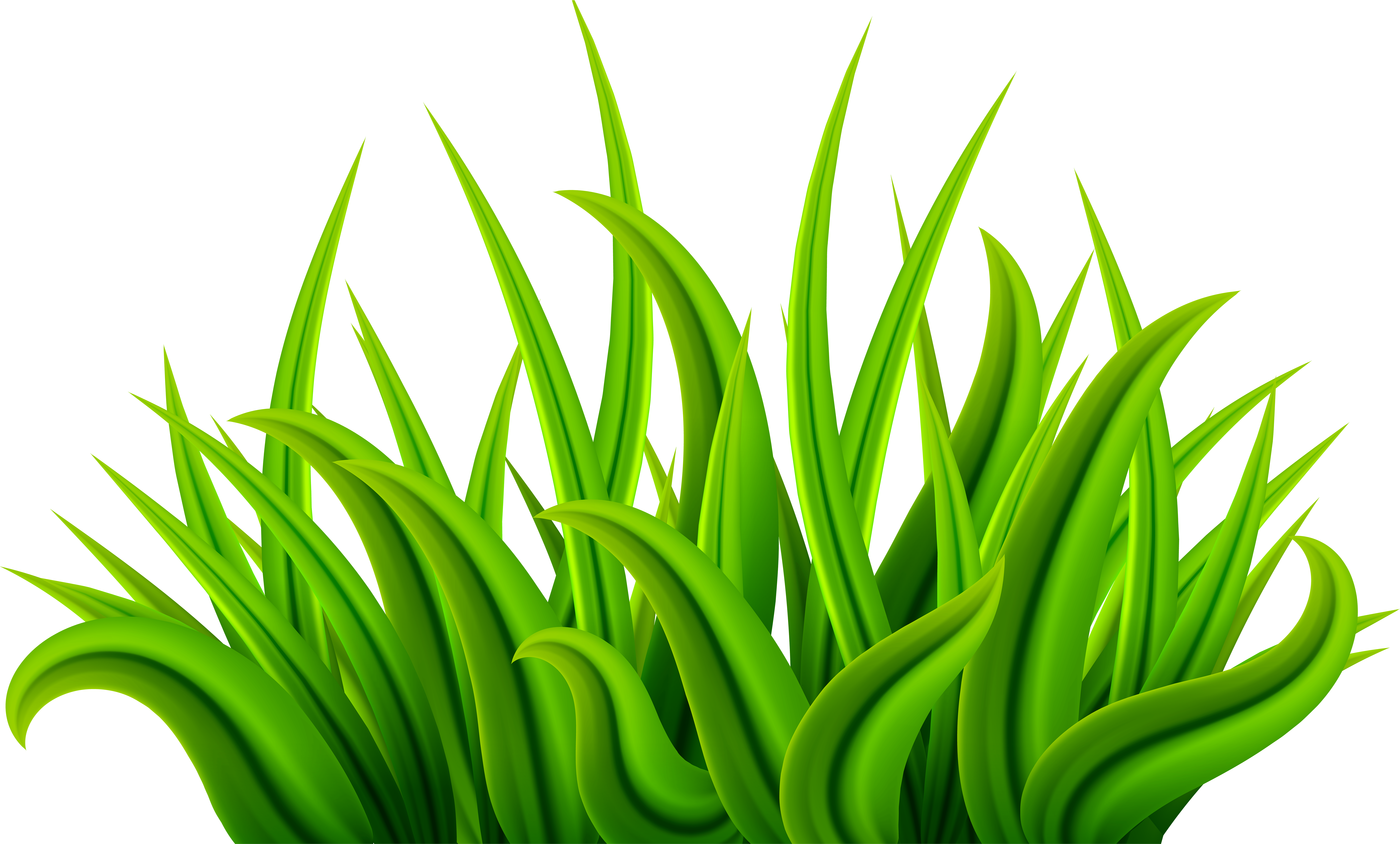 Whack Clipart - Png Download (8000x4922), Png Download