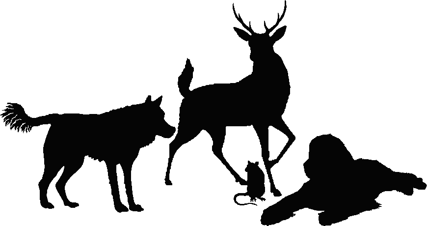 Silhouette Of A Young Red Stag, A Reclining Newfoundland, Clipart (870x460), Png Download