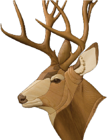 Stag Clipart Mule Deer - Png Download (640x480), Png Download