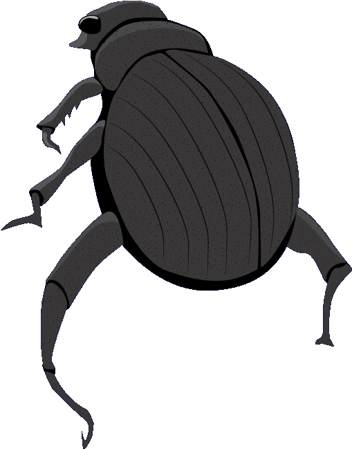 Dung Beetle Clipart Vector - Png Download (693x700), Png Download