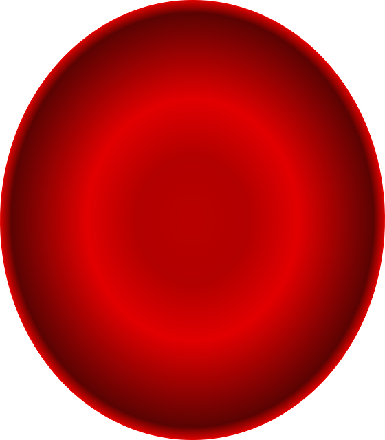 Your Stunning Red Blood Cells Clipart (560x640), Png Download