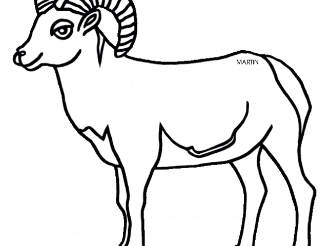 Bighorn Sheep Clipart Rocky Mountain - Png Download (640x480), Png Download