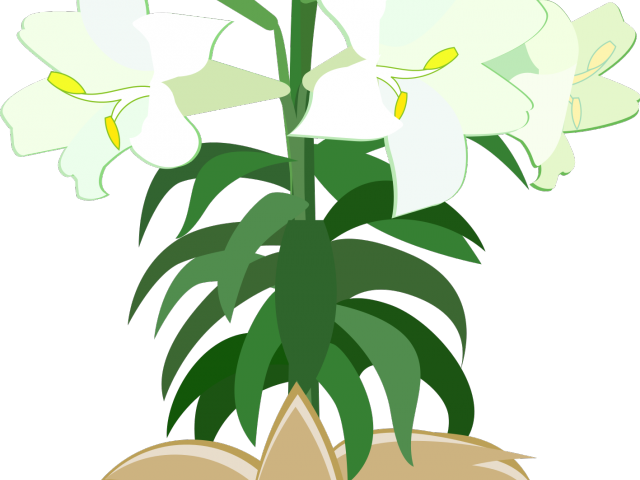 Easter Flower Clipart Holy Week - Png Download (640x480), Png Download