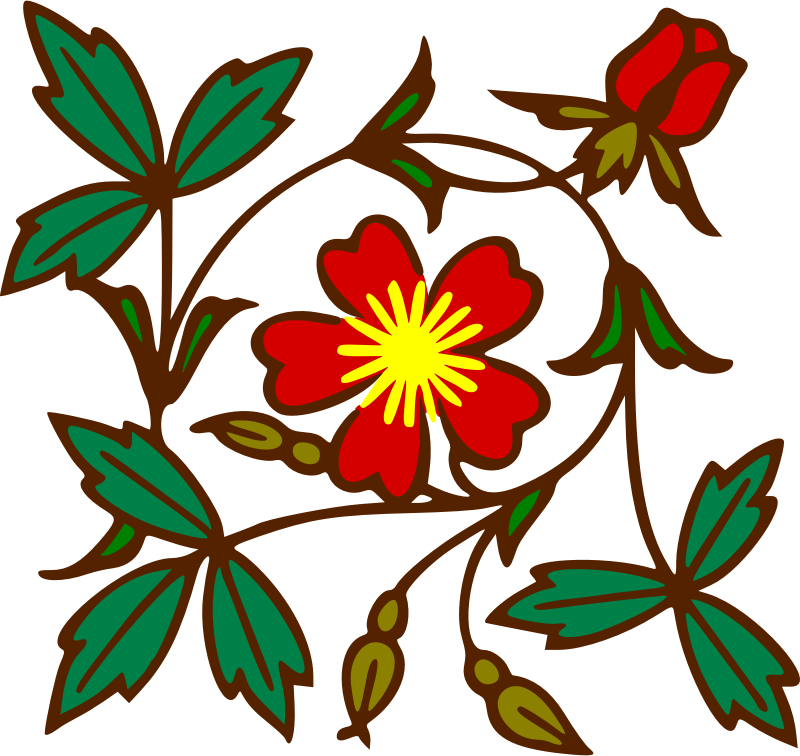 Medium Image Clipart (800x756), Png Download
