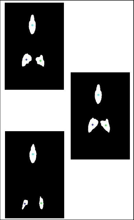Segmented Frames In Binary Download Scientific Clipart (455x748), Png Download