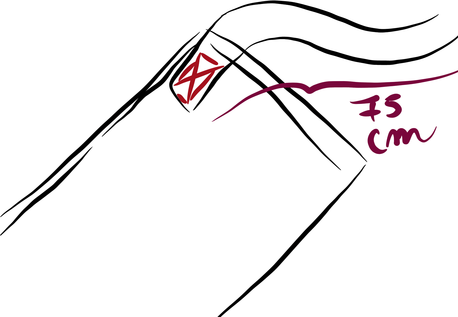 Tiras De La Parte Del Contorno Del Torso Clipart (1600x1200), Png Download