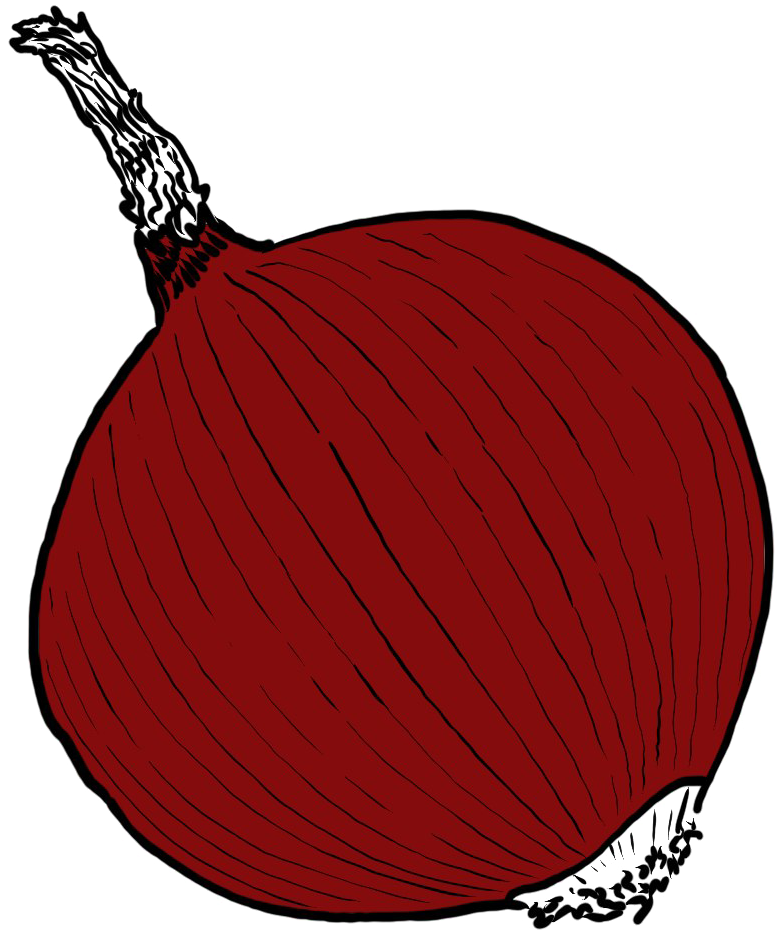 Single Onion Png Image Clipart (777x937), Png Download
