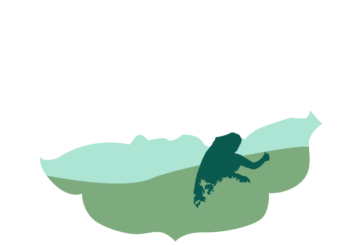 Tea Leaf Travels Clipart (1273x484), Png Download