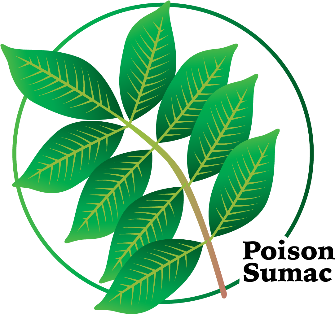 It Is More Toxic Than Poison Ivy Or Poison Oak And Clipart (1201x1201), Png Download