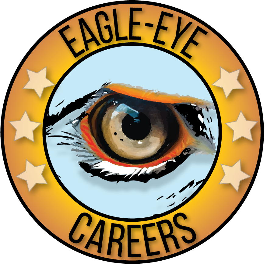 Eagle Eye Clip Art - Png Download (1000x1000), Png Download