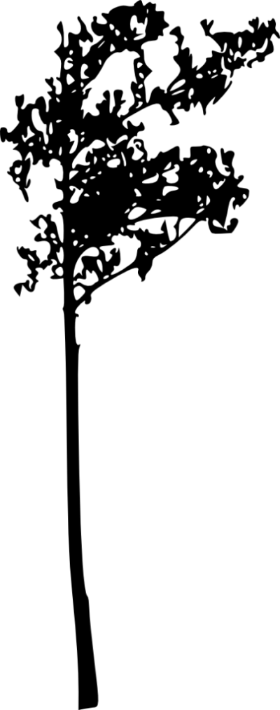 Tree Silhouette Clipart (400x1013), Png Download
